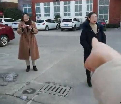 信阳爆料女子被打视频曝光,信阳街头暴力事件引发关注  第1张