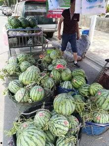 太原网红吃瓜事件,揭秘网络舆论的风暴与真相